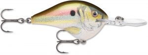 Rapala DT08RSL Dives-to 8 Live River Shad 3/8oz